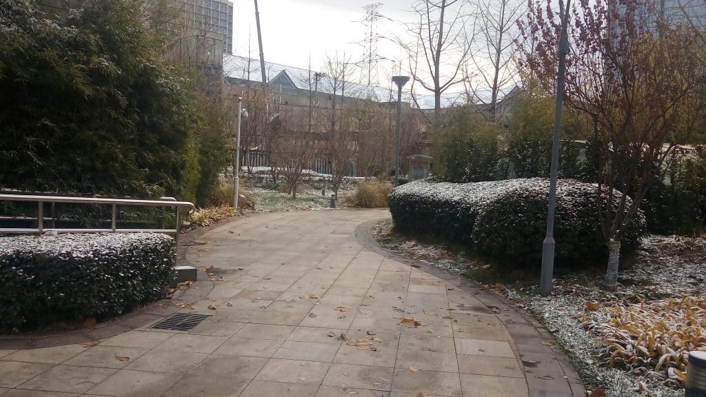 snow